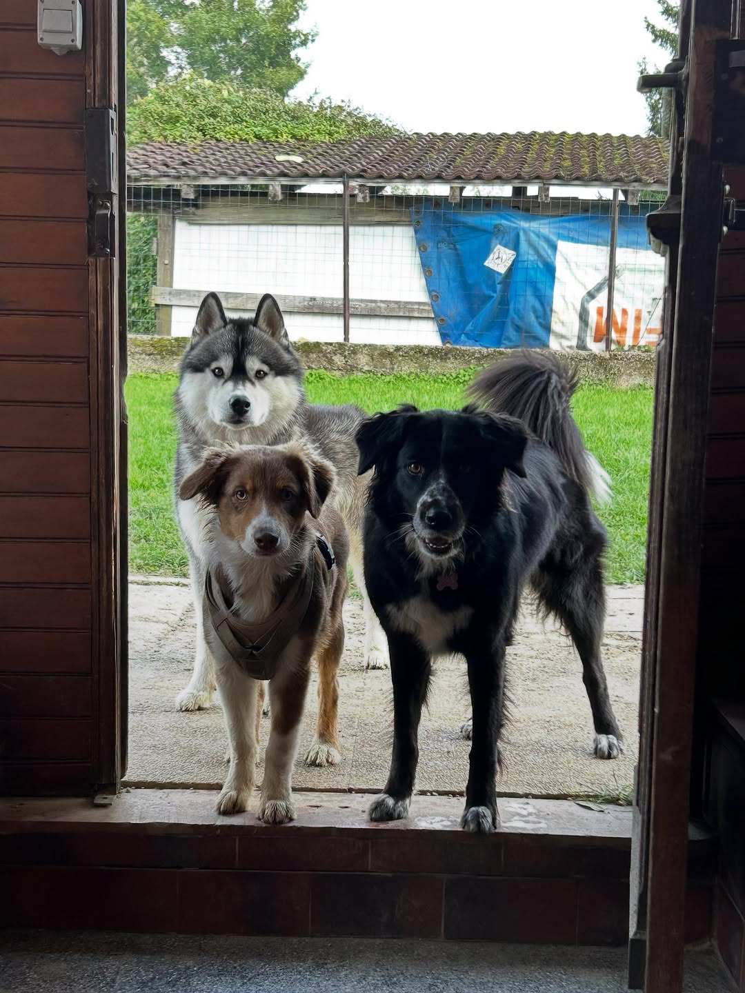 Ulysse, Tchelsy et Moon